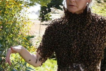 ये महिला पहनती है मधुमक्खियों से बना ब्लाउज