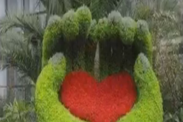 आपका दिल जीत लेगी इस बगीचे की खूबसूरती! देखिए वीडियो