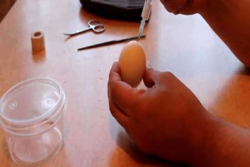 मुर्गी के अंडे में अपना स्पर्म डालकर बना डाला अनोखा जीव