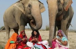 भारतीय हाथी हो गए मॉडन