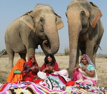भारतीय हाथी हो गए मॉडन
