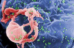 एड्स का वायरस शरीर में कहां छिपता है, वैज्ञानिकों ने लगा लिया पता