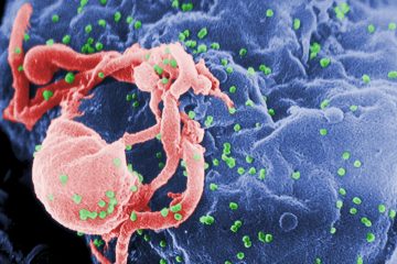 एड्स का वायरस शरीर में कहां छिपता है, वैज्ञानिकों ने लगा लिया पता