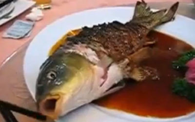 जिंदा मछली तड़पता देखना ही नहीं खाना भी बेहद पसंद है इस देश के लोगो को! देखिये वीडियो