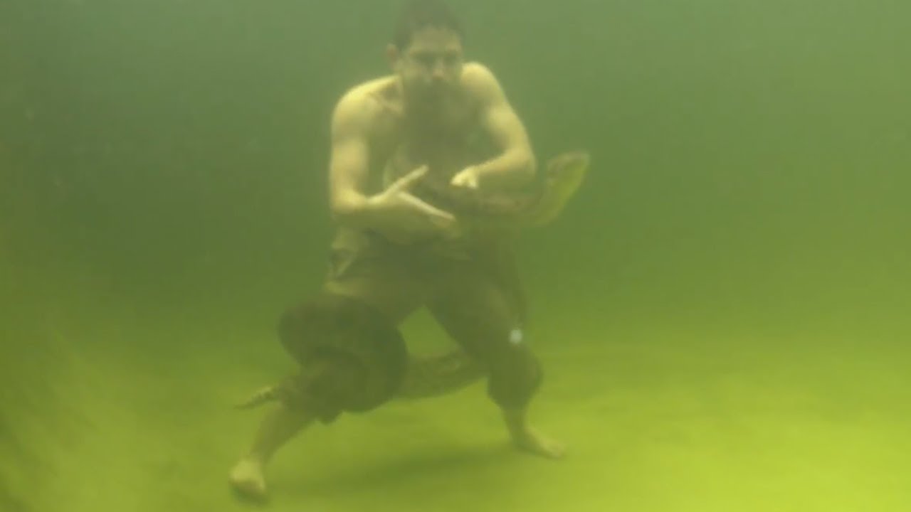 इस आदमी ने एनाकोंडा के साथ पानी के अंदर किया खतरनाक स्टंट, देखिये वीडियो