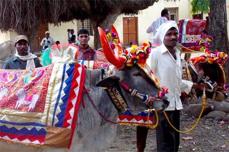 छत्तीसगढ़